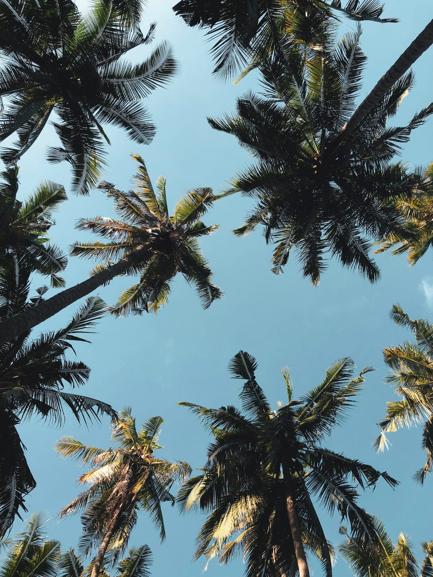 Exploring the Art of Crafting Memorable Narratives